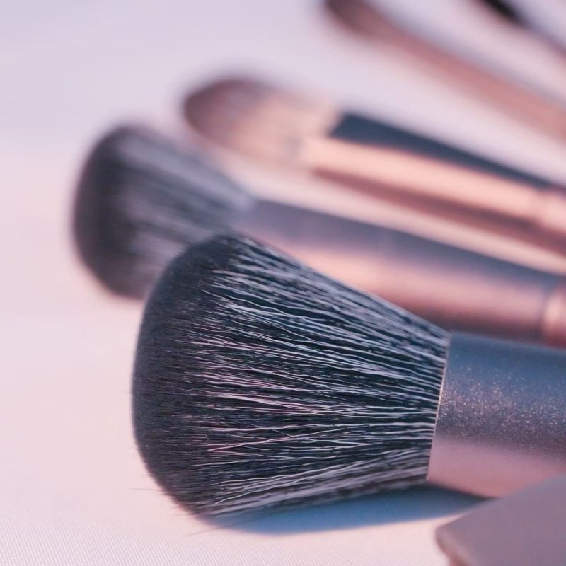 Makeup Brushes Set With Bag 8 Pcs Contour Blush Blending Eyeshadow Concealer Brow Brushes Ideal For Travel And Gifts Travel Friendly Perfect Gift (Option: 8pcs)